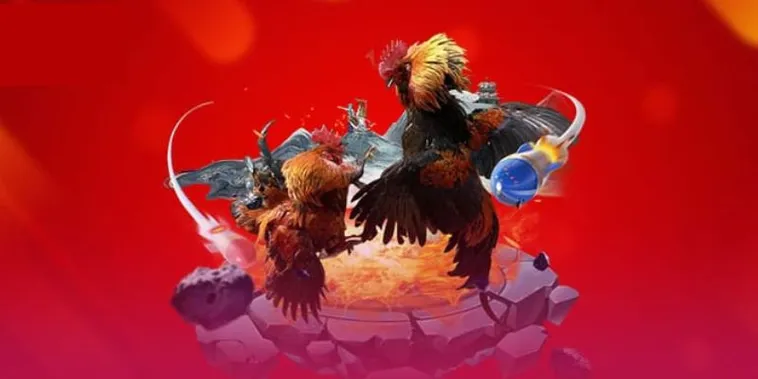 Sàn Đấu Kê Chiến Đá Gà VG99 Sôi Động Rinh Thưởng Lớn Về Tay Ngay